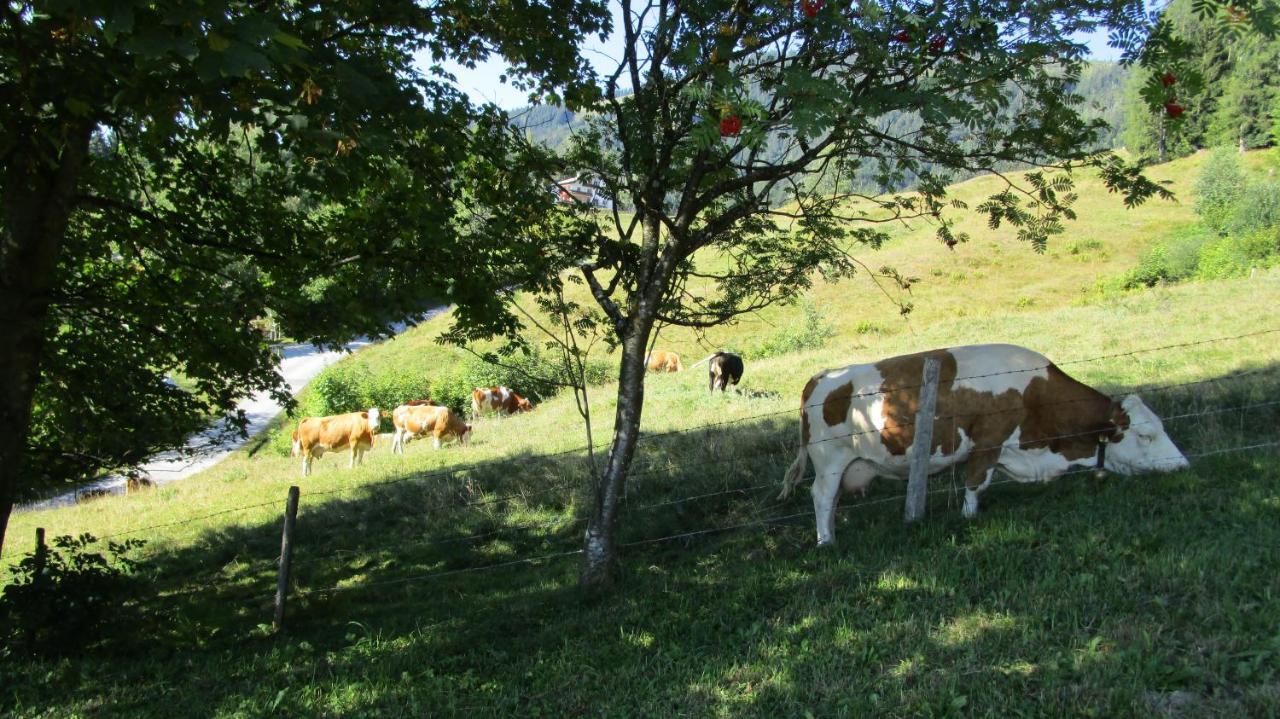 Ferienhaus Englbrecht Krispl المظهر الخارجي الصورة